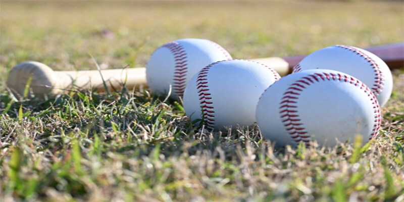 cá cược bóng chày