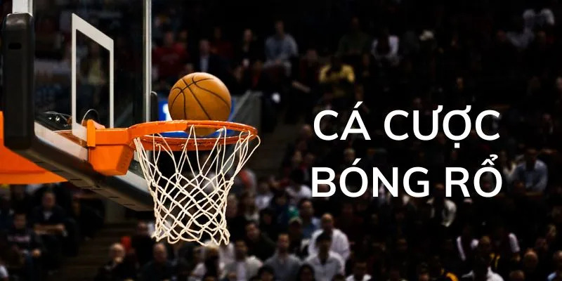 Những điểm chú ý cho bạn mới khi tham gia