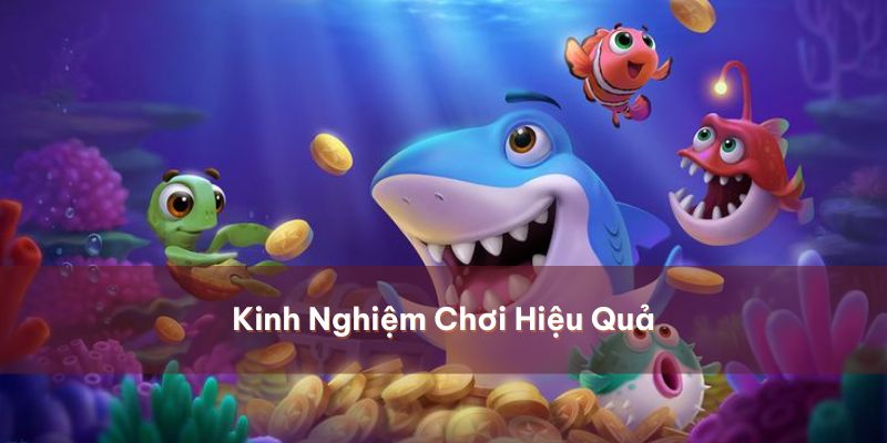 Những mẹo chơi hữu hiệu rinh về tiền triệu cho người chơi