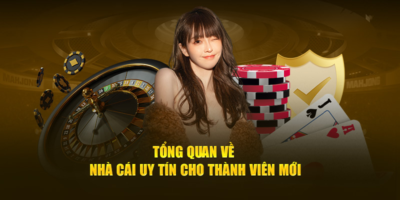 Tổng quan chung về Bong88